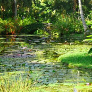 McKee Gardens Things to Do.